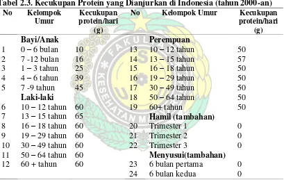 Tabel 2.3. Kecukupan Protein yang Dianjurkan di Indonesia (tahun 2000-an) 