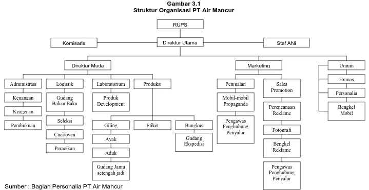 Gambar 3.1 Struktur Organisasi PT Air Mancur