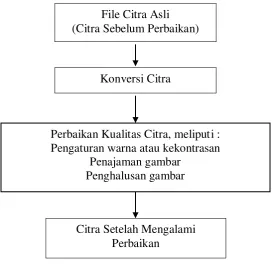 Gambar 1.1 Diagram Konsepsi 