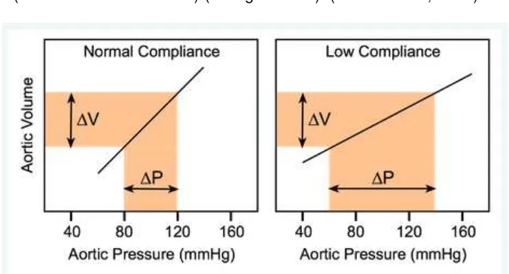 Gambar 1. Hubungan antara perubahan volume aorta dan tekanan aorta ditingkatkan ketika Sumber: Richard E.K