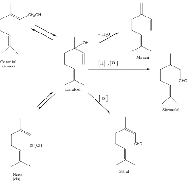 Gambar 2.3. Perubahan senyawa monoterpen (Achmad, 1986) 