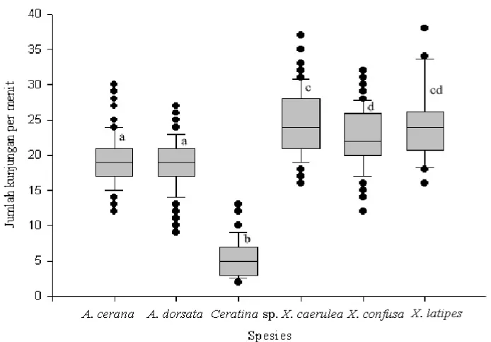Gambar 28 Box plot jumlah kunjungan A. cerana pada bunga caisin. Huruf yang sama pada grafik menunjukkan tidak berbeda  dengan uji Anova  95% yang dilanjutkan uji Scheffe (Lampiran 1)