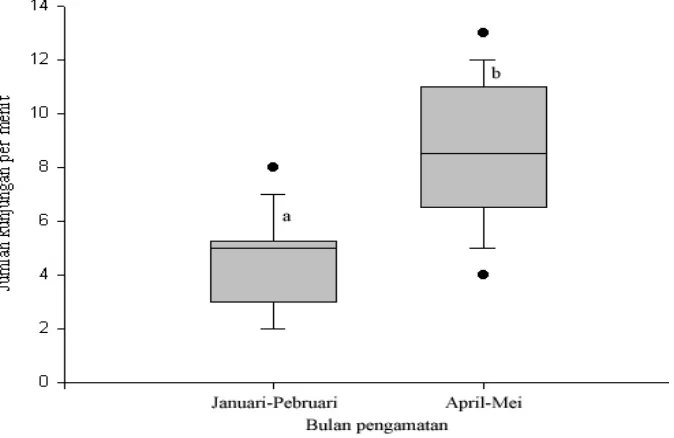 Gambar 29  Box plot jumlah kunjungan A. dorsata pada bunga caisin. Huruf yang sama pada grafik menunjukkan tidak berbeda  dengan uji Anova 95% yang dilanjutkan uji Scheffe (Lampiran 1).