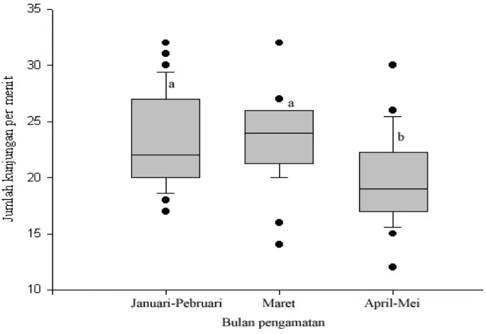 Gambar 31 Box plot jumlah kunjungan X.caerulea  pada bunga caisin. Huruf yang sama pada grafik menunjukkan tidak berbeda  dengan uji Anova 95% yang dilanjutkan uji Scheffe (Lampiran 1).