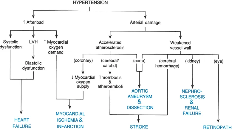 Gambar 2.2. Patogenesis komplikasi mayor hipertensi arterial. LVH, hipertrofi ventrikel kiri (Lee, Williams & Lilly 2011)