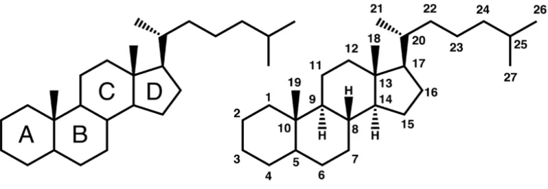 Gambar di atas merupakan strktur dasar dari senyawa steroida.(Robert,W.C.,1987) 