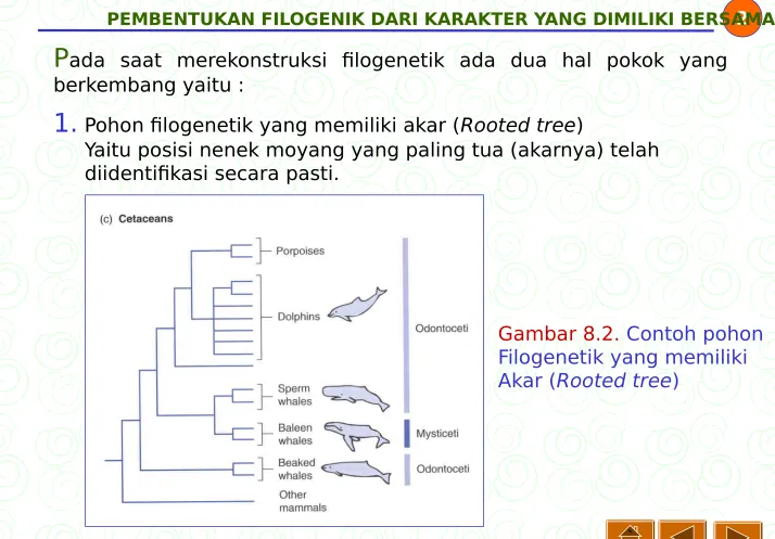 Gambar 8.2. Contoh pohon