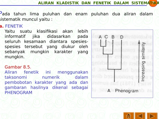 Gambar 8.5.Aliran fenetik 