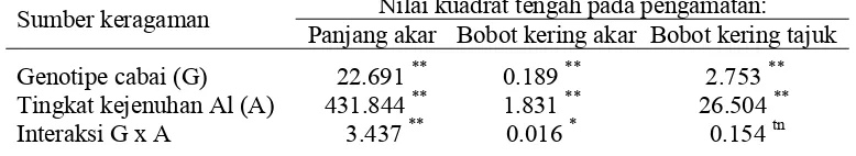 Tabel 4.  Nilai kuadrat tengah dari hasil analisis ragam pengaruh genotipe  cabai dan tingkat kejenuhan Al pada panjang akar, bobot kering akar dan bobot kering tajuk 