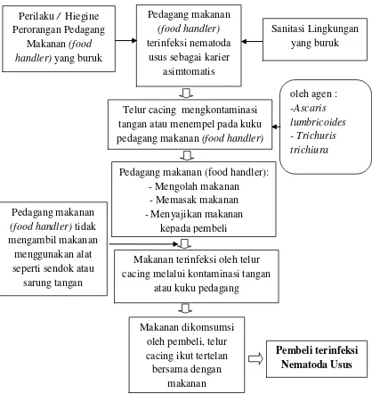 Gambar 2.5. Kerangka Teori Transmisi Infeksi Nematoda Usus oleh  