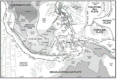 Gambar 3. Rekonstruksi Tektonik Lempeng diWilayah Asia Tenggara (Hall, 2002). Garis merah