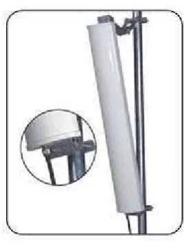 Gambar 2.11 Antena Sektoral 