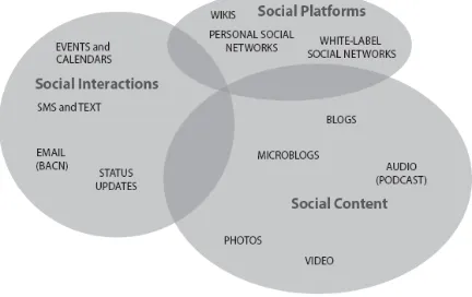 Gambar 1 Social Media Grouping  (Sumber: Evans, 2008:224) 