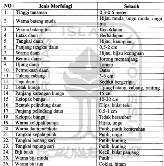 Tabel 1. Karakter morfologi selasih