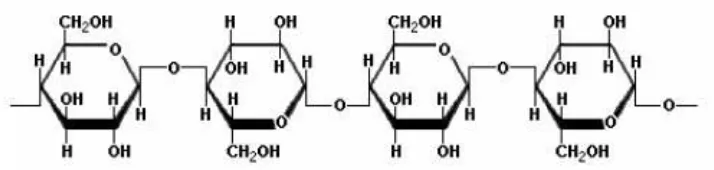 Gambar 2.2 Struktur Selulosa 