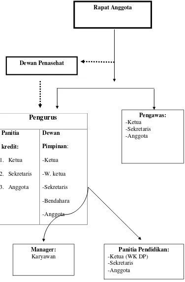 Gambar 1.1 Struktur Organisasi primer CU 