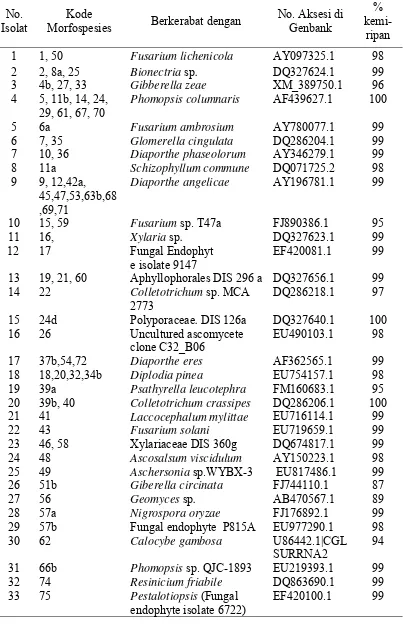 Tabel 4.1  Hasil identifikasi cendawan endofit secara molekuler, nomor aksesi dan persen kemiripan DNA pada Genbank 