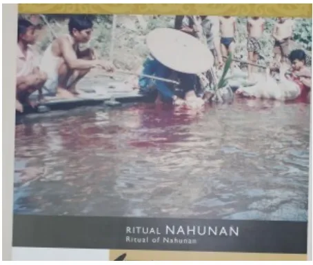 Gambar 3. Ritual Nahunan memandikan bayi dengan darah babi di sungai