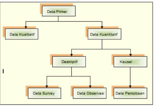 Gambar : Klasifikasi Data Primer 