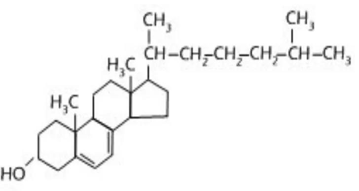 Gambar 2.1.  Struktur Molekul Kolesterol 