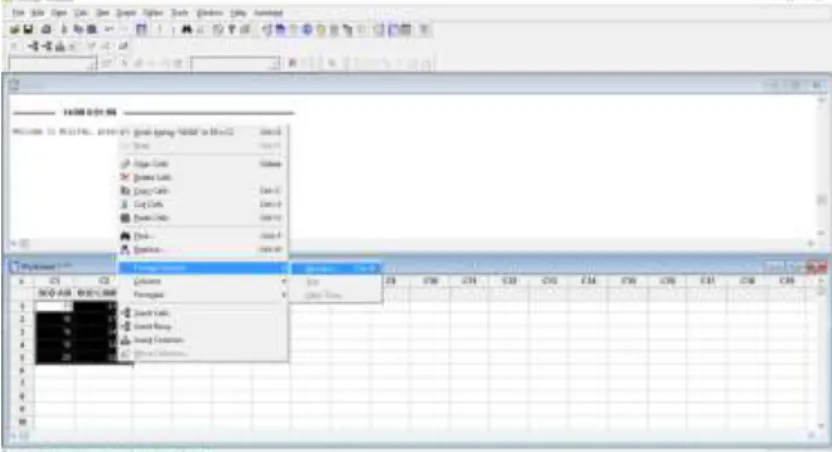 Gambar 3.2 Tutorial Memasukan Data di Minitab 16