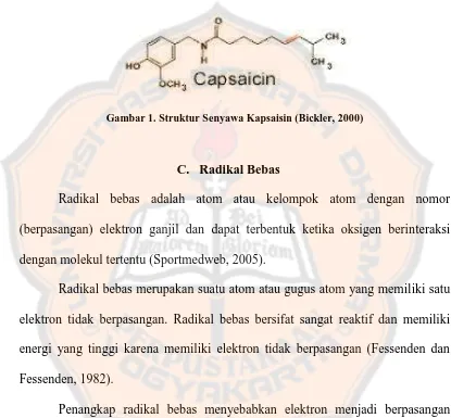 Gambar 1. Struktur Senyawa Kapsaisin (Bickler, 2000) 