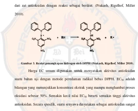 Gambar 3. Reaksi penangkapan hidrogen oleh DPPH (Prakash, Rigelhof, Miller 2010). 