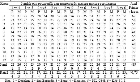 Tabel 5. Hasil tabulasi polimorfisme pada 9 kombinasi persilangan dengan menggunakan 489 primer mikrosatelit untuk seleksi background 