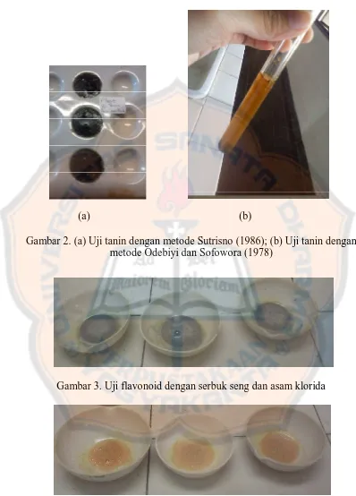 Gambar 2. (a) Uji tanin dengan metode Sutrisno (1986); (b) Uji tanin dengan metode Odebiyi dan Sofowora (1978)  