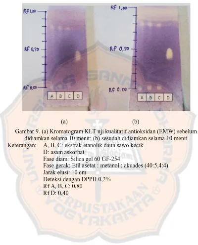 Gambar 9. (a) Kromatogram KLT uji kualitatif antioksidan (EMW) sebelum didiamkan selama 10 menit; (b) sesudah didiamkan selama 10 menit 