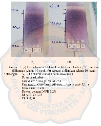 Gambar 10. (a) Kromatogram KLT uji kualitatif antioksidan (CEF) sebelum didiamkan selama 10 menit; (b) sesudah didiamkan selama 10 menit 