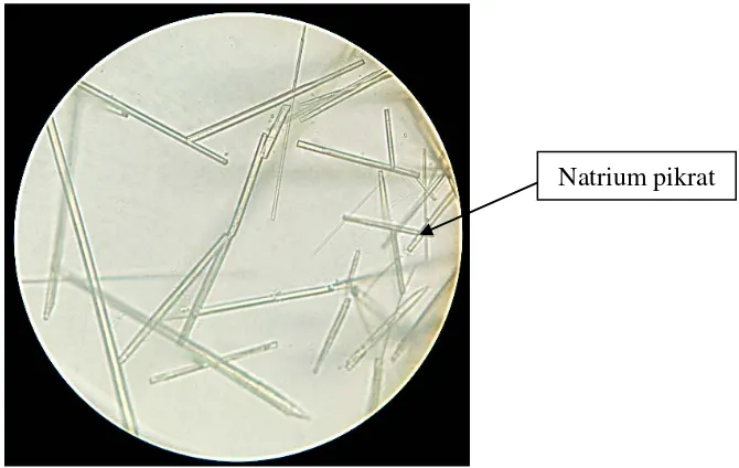 Gambar 7. Gambar kristal natrium pikrat (perbesaran 10x40) 