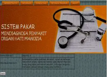 Gambar 11. Tampilan Form Penyebab 