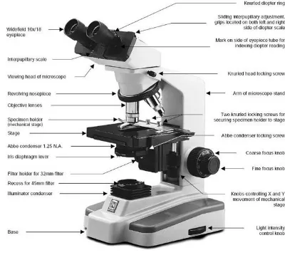Gambar 2.1 Mikroskop Cahaya Modern