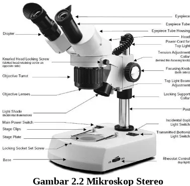Gambar 2.2 Mikroskop Stereo
