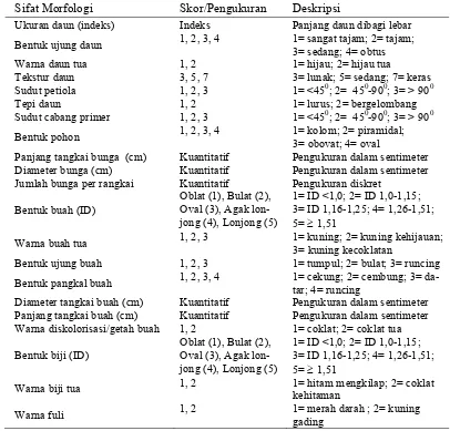 Tabel  3   Sifat-sifat morfologi tanaman pala dan kategori pengukurannya 