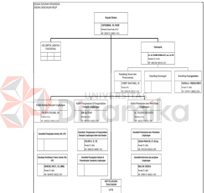 Gambar  2.1  Struktur  Organisasi  Badan  Lingkungan  Hidup  Kabupaten  Kotawaringin Timur 