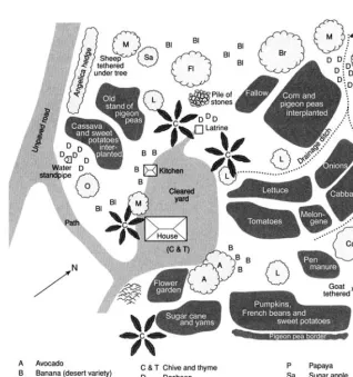 Figure 14.2Plan of a kitchen garden