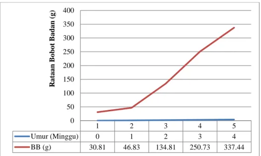 Gambar 1. Grafik Pola Pertumbuhan Ayam Kampung Umur 0 sampai 4 Minggu yang  Dipelihara secara Intensif 