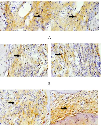 Gambar 2.  Gambaran imunohistokimia ekspresi MMP-8 pada sel 