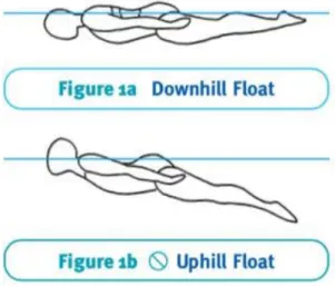 Gambar 2.2. 1a Posisi tubuh di air yang benar, 1b posisi tubuh yang salah  (menggantung) (Lucero, 2011) 