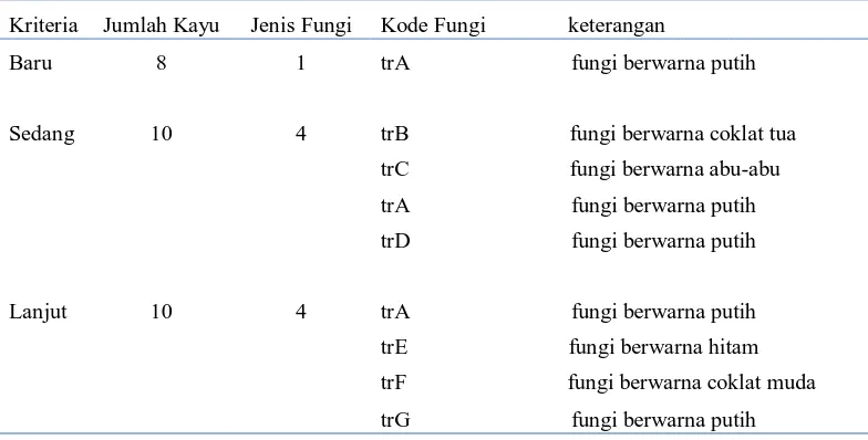 Tabel 1. Kriteria Pelapukan dan Fungi yang Didapat pada Pengamatan di Lapangan  
