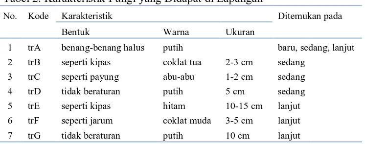 Tabel 2. Karakteristik Fungi yang Didapat di Lapangan 