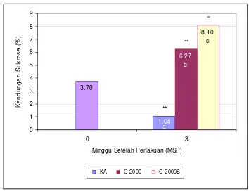 Gambar 10  Kandungan sukrosa bantalan bunga kakao pada 0 dan 3 MSP.  Huruf yang sama di dalam diagram batang menunjukkan berbeda tidak nyata pada uji Duncan taraf 5%