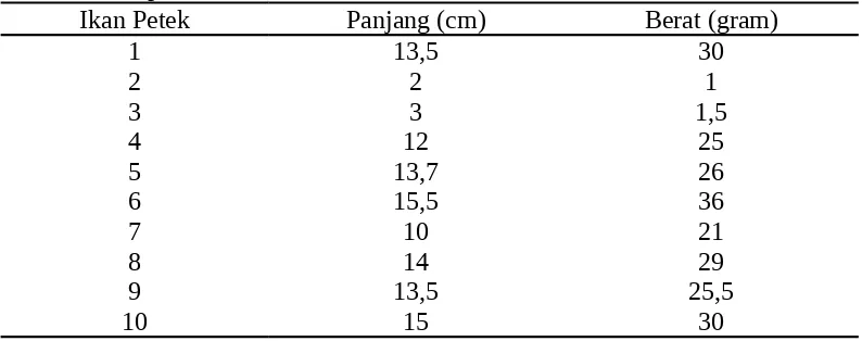 Tabel 4.  Panjang dan Berat Ikan Petek (Leiognathus equulus) di UKM BapakKaspan