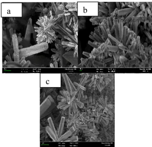 Gambar  1  memperlihatkan  nanomaterial  ZnO  yang dilapisi material plasmonik Ag berbentuk  nanorod  dengan  panampang  heksagonal  tanpa  adanya  Ag  di  permukaan  nanomaterial  ZnO