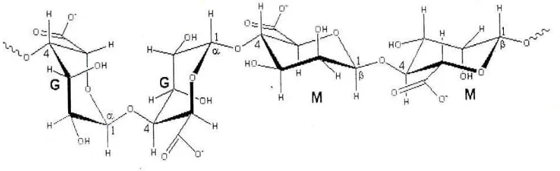 Gambar 2.2  Struktur G: - L asam guluronat dan M: - D asam mannuronat 