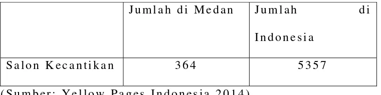Tabel 2.5 Data Salon di Medan dan di Indonesia 