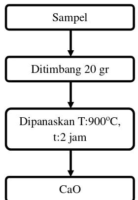 Gambar 3.1 Diagram Alir Preparasi Sampel 