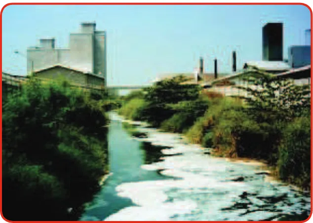 Gambar 1.4 Pencemaran lingkungan yang disebabkan karena limbah pabrik merupakan salah satu bentuk pelanggaran HAM
